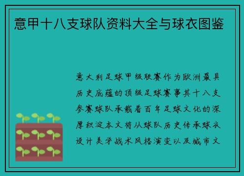 意甲十八支球队资料大全与球衣图鉴
