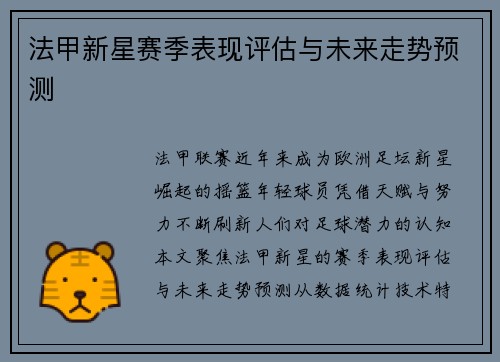 法甲新星赛季表现评估与未来走势预测