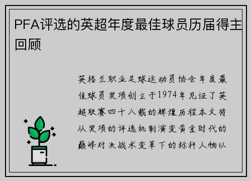 PFA评选的英超年度最佳球员历届得主回顾