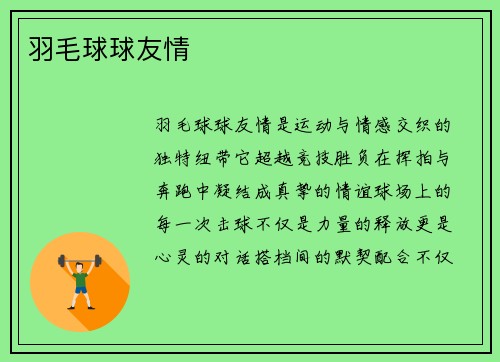 羽毛球球友情